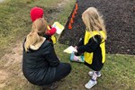 Children's Summer Workshops at St. David's Park