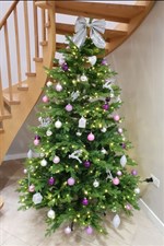 Spa Christmas Offers