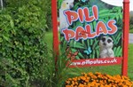 Family day out in Anglesey in September: Pili Palas