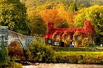 Where To See the Changing Of The Seasons in Conwy
