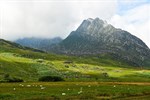 Golf courses near to Berthlwyd