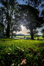 Why choose glamping?
