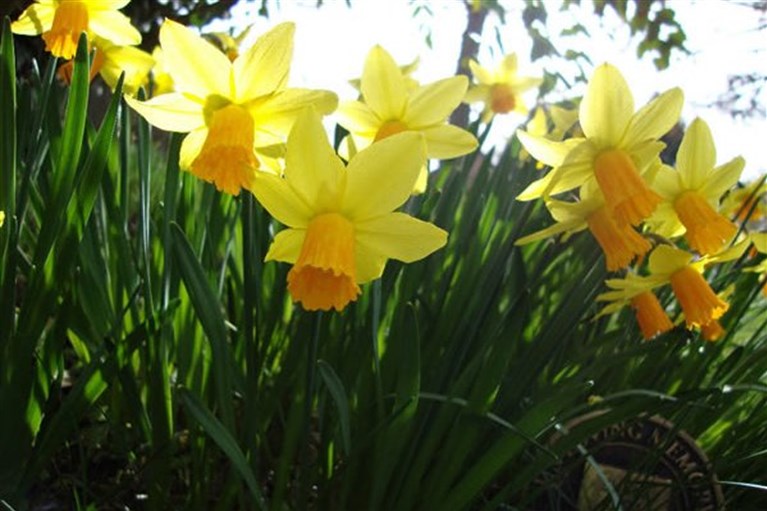 What’s On Spring 2016 – Berthlwyd Holiday Park