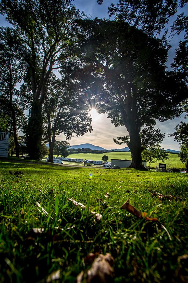 Why choose glamping?