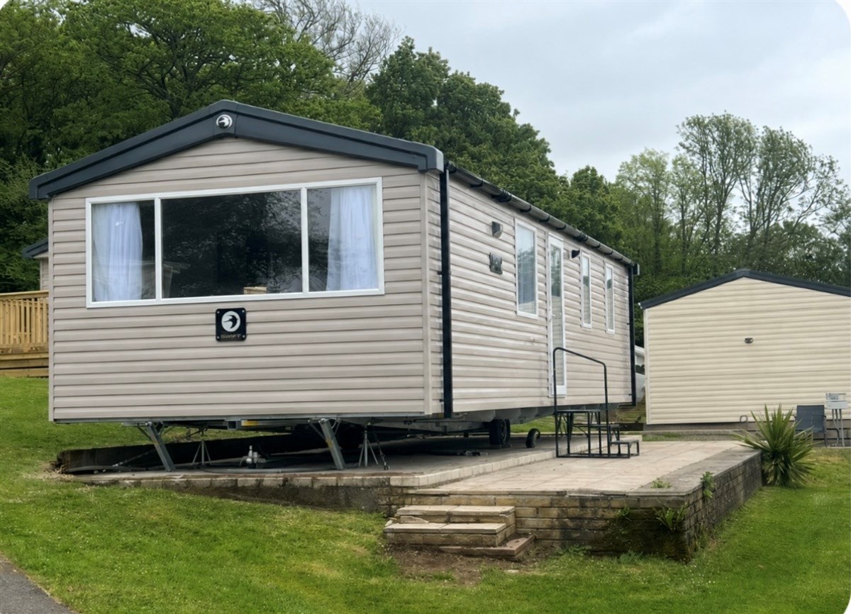 CH Swift Royan 32 - Royan