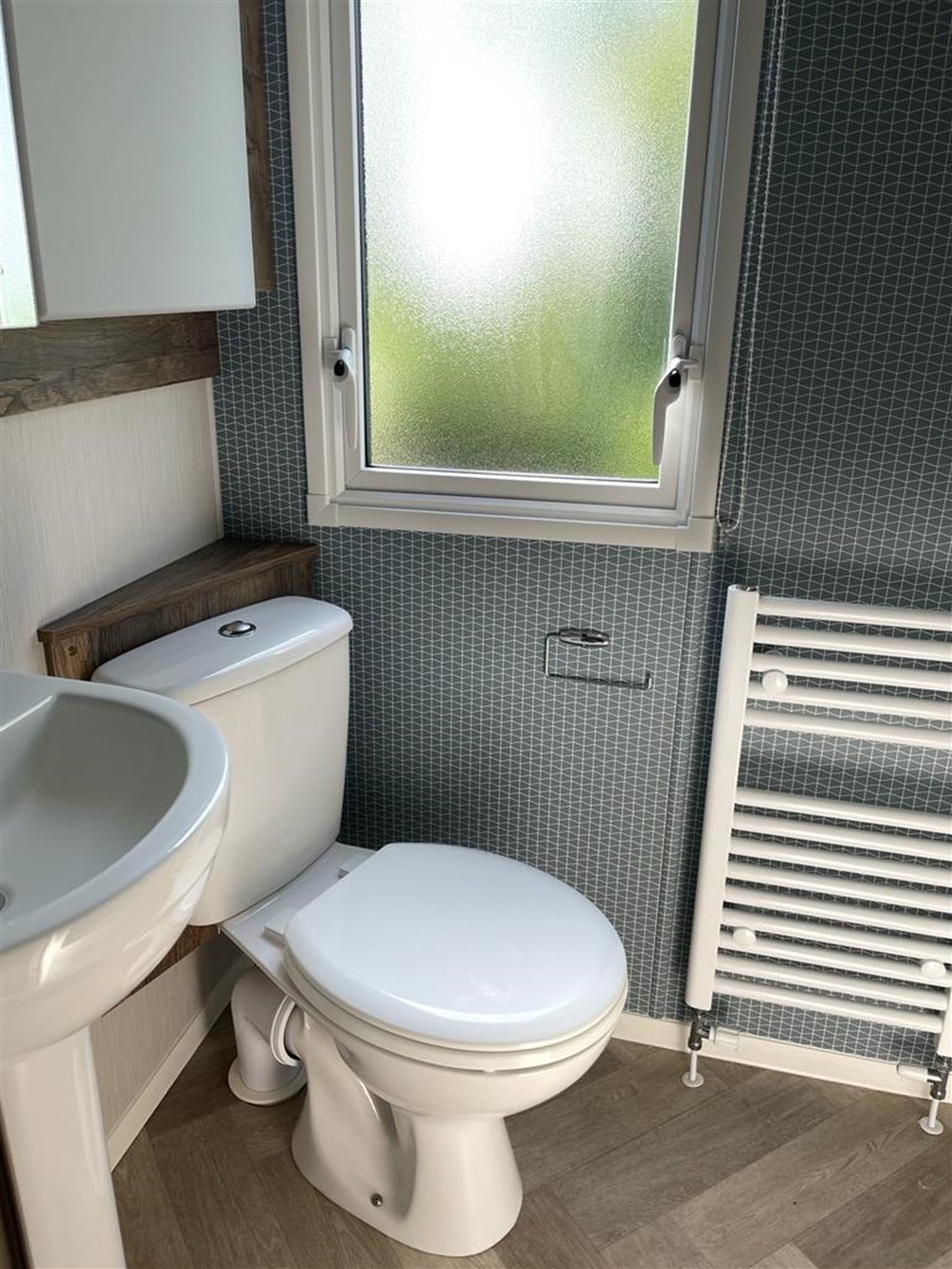 Willerby Brookwood for sale Berthlwyd Hall Holiday Park