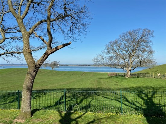 Coed plot 97 Willerby Sheraton - view