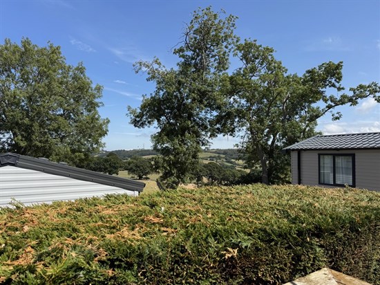 BH Willerby Herald Gold 31 - view